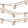25Ft Dimmable Outdoor String Light, G40 Globe Patio Light with 26 2200K Edison Glass Bulbs(1 Extra)
